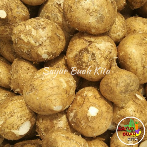 

Buah Bengkoang Murah Segar Per 500gr