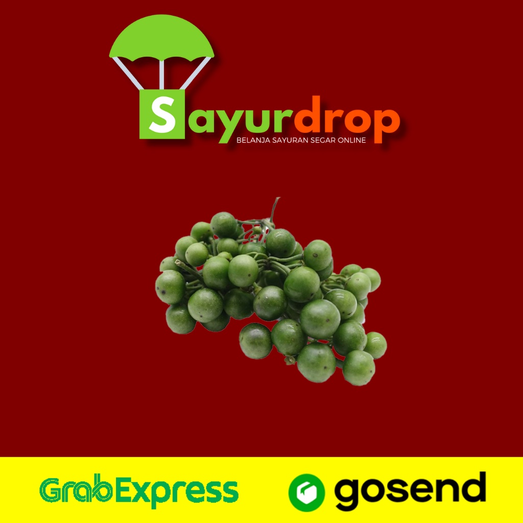 

Lenca/Leunca 100 Gr - Segar Higienis Murah Cepat - Instant/Same Day Delivery (Sayurdrop)