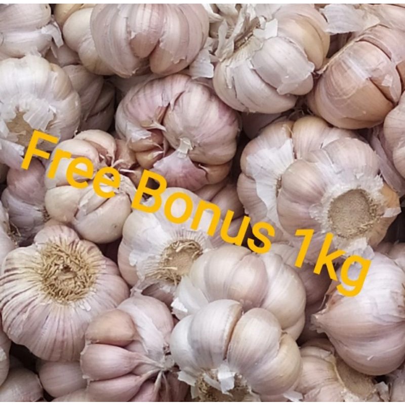 

Bawang Putih/Honan/Banci uk 1 kg + Gratis Bonus