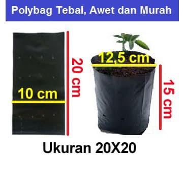 Polybag 20x20 CM ECERAN 1 Plastik polibek pot kantong semai benih bibit tanaman per lembar 20 x 10