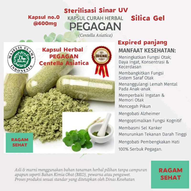 Kapsul bubuk Pegagan Antanan herbal jamu obat curah 100 butir