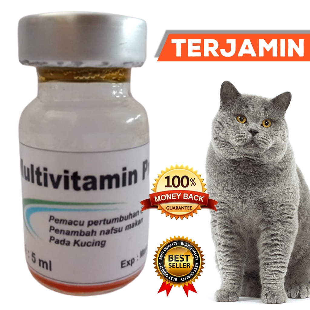 OBAT INJEKSI SUNTIK MULTIVITAMIN PRO DAN PENAMBAH NAFSU MAKAN PADA KUCING SERTA MEMACU PERTUMBUHAN