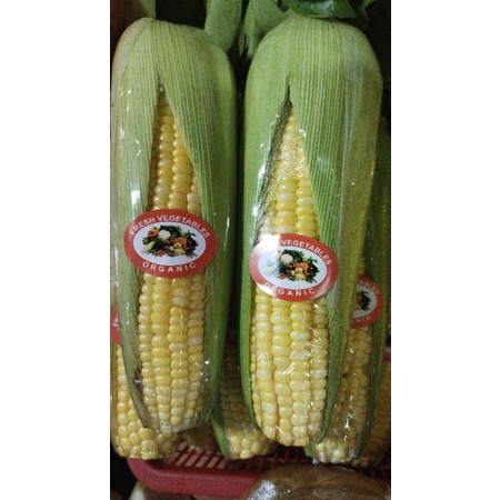 

Jagung Organic 1biji