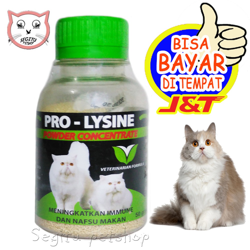 VITAMIN KUCING KURUS SUSAH MAKAN PRO LYSINE 50 GRAM