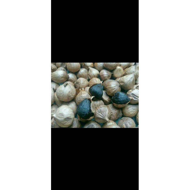 

bawang hitam