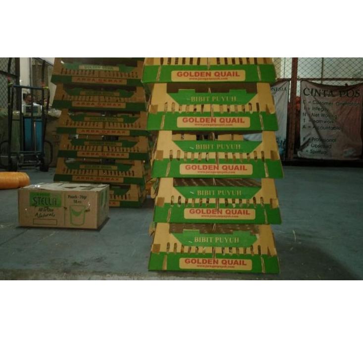 

Terkini WJVVO Box karton DOC polos 38 Baru
