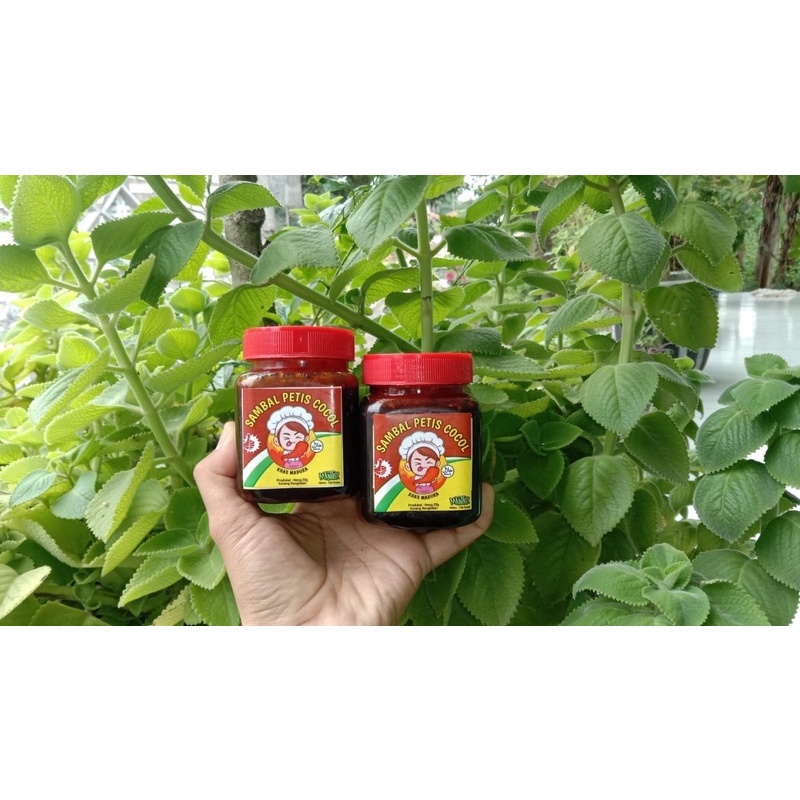 

sambel Petis cocol/sambel cocol pedas/ pedas mantul