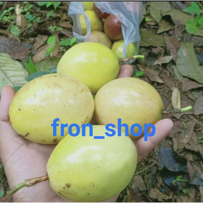 

MARKISA SEGAR PRES | BUAH MARKISA KUNING ASLI ORIGINAL TERMURAH