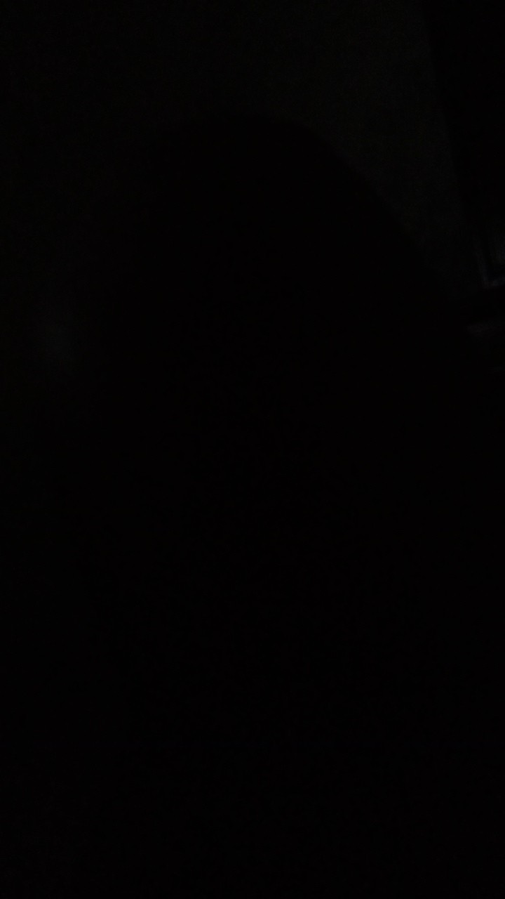 Besek Nasi Uk 15x15(harga Sepasang)