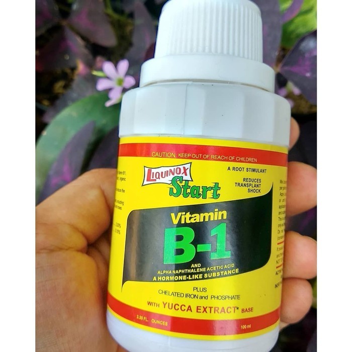 Pupuk Vitamin B1 Anti Stres Tanaman Liquinox 100ml