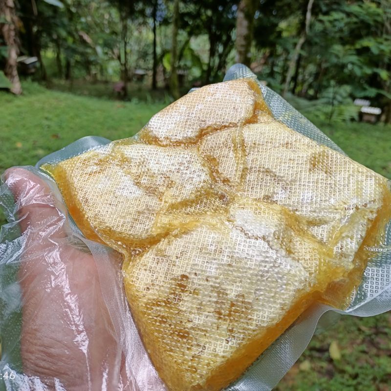 

MADU SARANG APIS CERANA 500 Gr 1000% MURNI DARI ALAM TASIKMALAYA