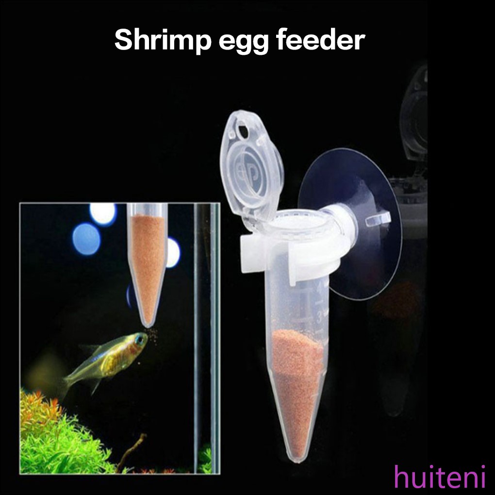 New Automatic Small Fish Feeder Aquarium Feeding Tool Aquarium Accessory huiteni