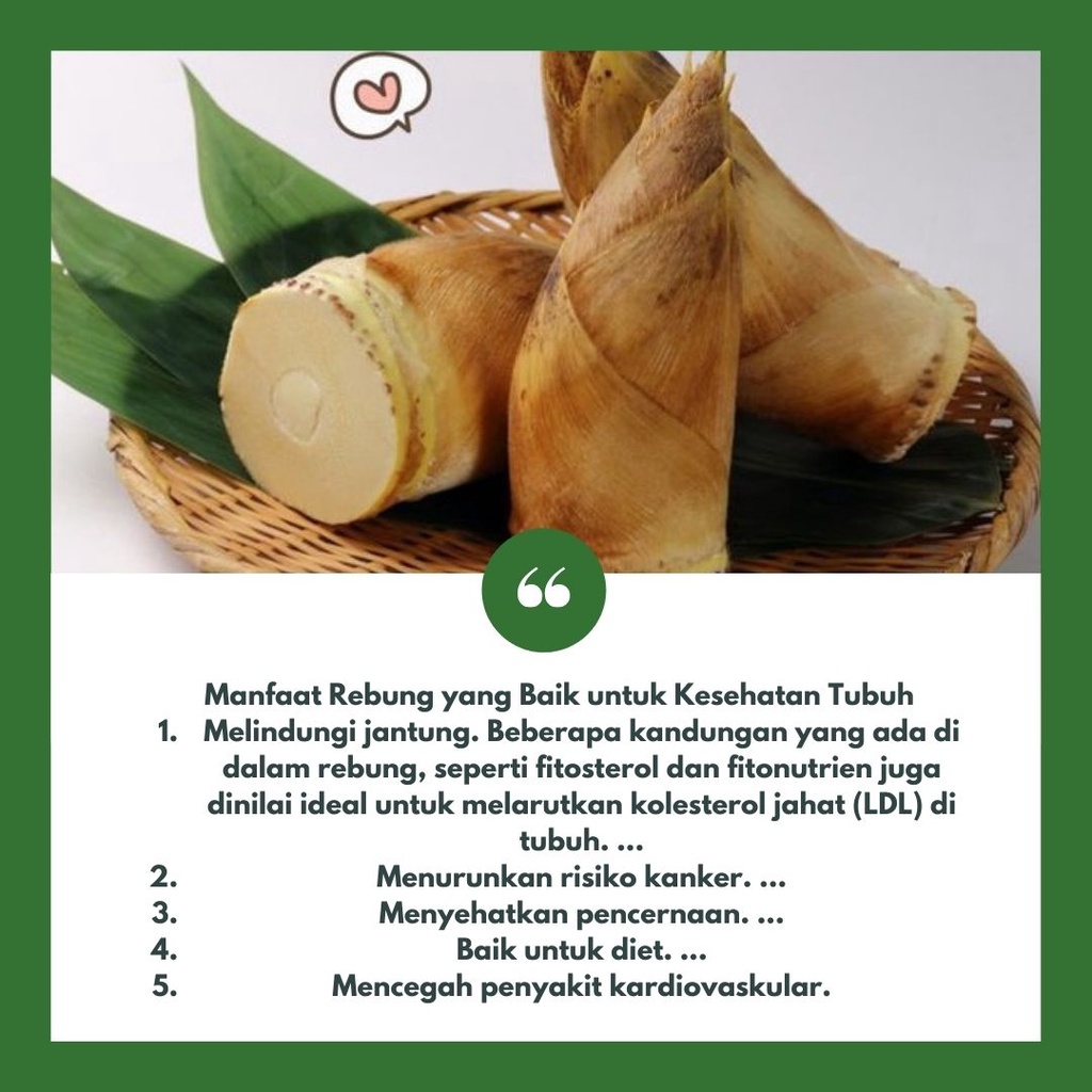 Rebung bambu muda berat 300-500gr