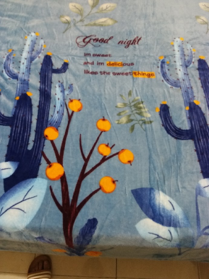 Selimut Bulu Halus Ukuran King 180x200 Motif Kaktus Tebal List Termurah Terlaris