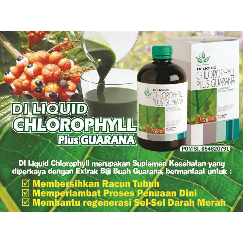 Diamond interest chlorophyll + guarana 500ml