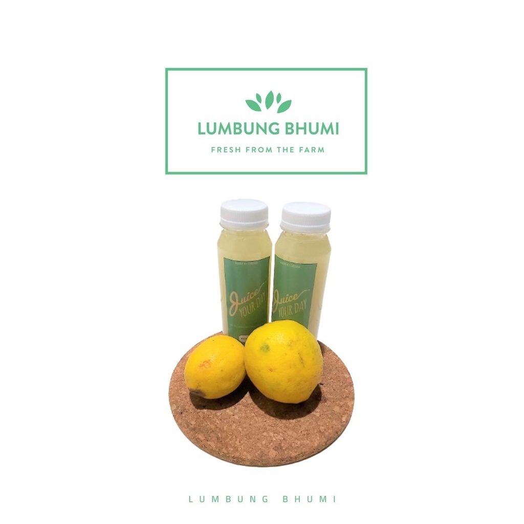 

Lumbung Bhumi - Sari Lemon Diet 250 ml ( Juice Your Day )