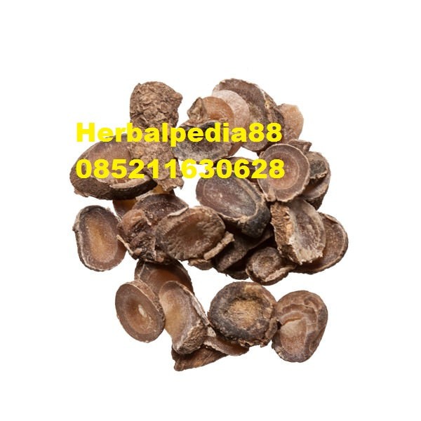 

Yu Jin Tumeric Tuber Curcuma Root 100 gram