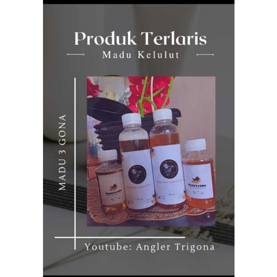 

madu Trigona /kelulut / kelanceng Itama 250 mL