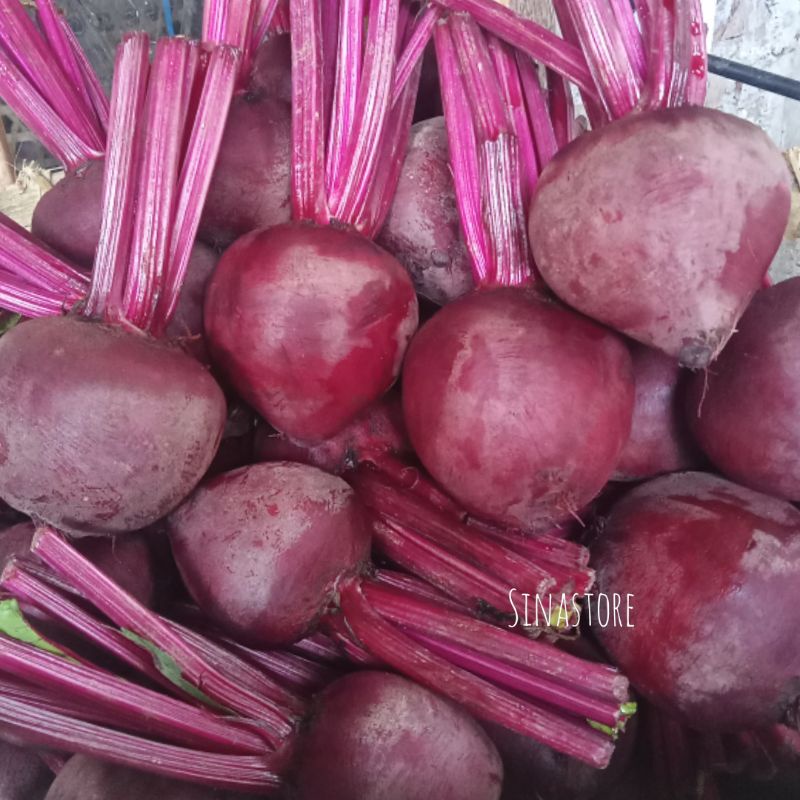 

Buah Bit Fresh 1Kg