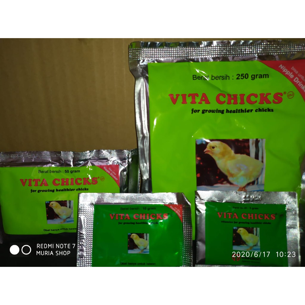 780 Koleksi Gambar Semua Unggas HD