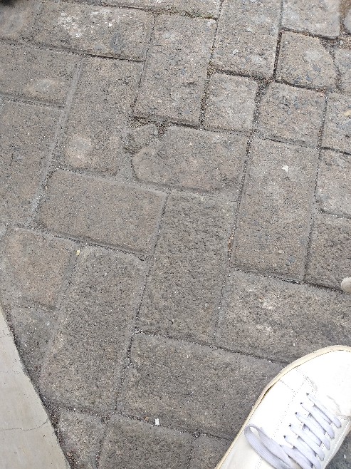 Dus Lebaran Box Idul Fitri Packaging Toples Box - Tbif120145 (20pc)