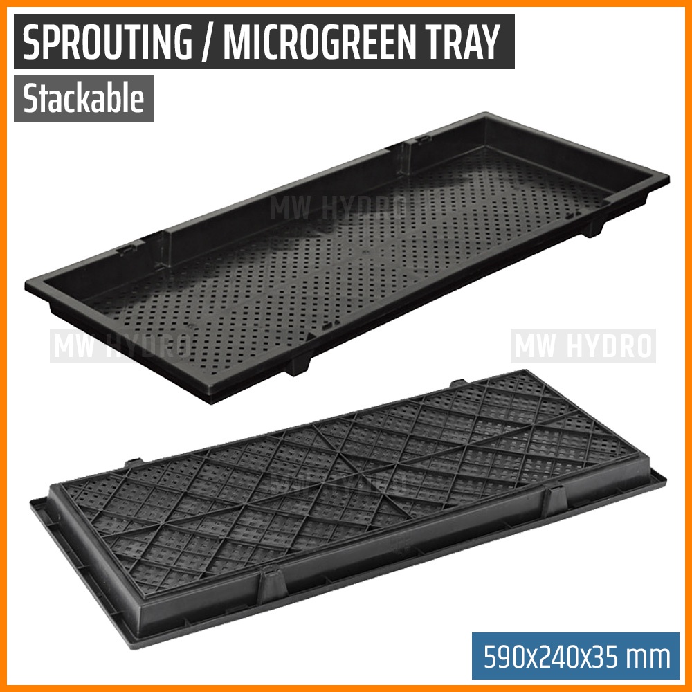 Stackable Tray For Sprouting, Seedling, Microgreen - 590 x 240 x 35 mm