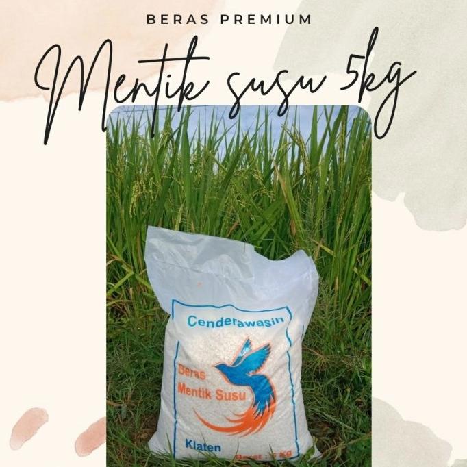 

Beras Premium Mentik Susu Wangi (Cendrawasih) 5 Kg