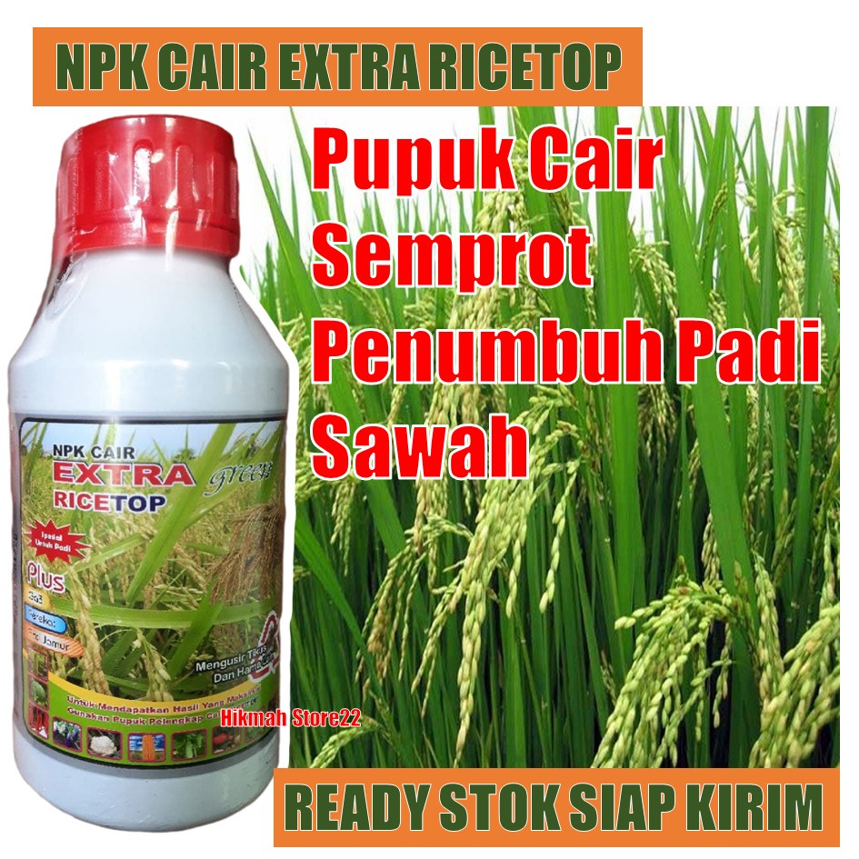 RICE TOP PUPUK CAIR SEMPROT PENUMBUH PADI SAWAH - Pupuk Cair Melebatkan Dan Penambah Bobot Padi Jadi