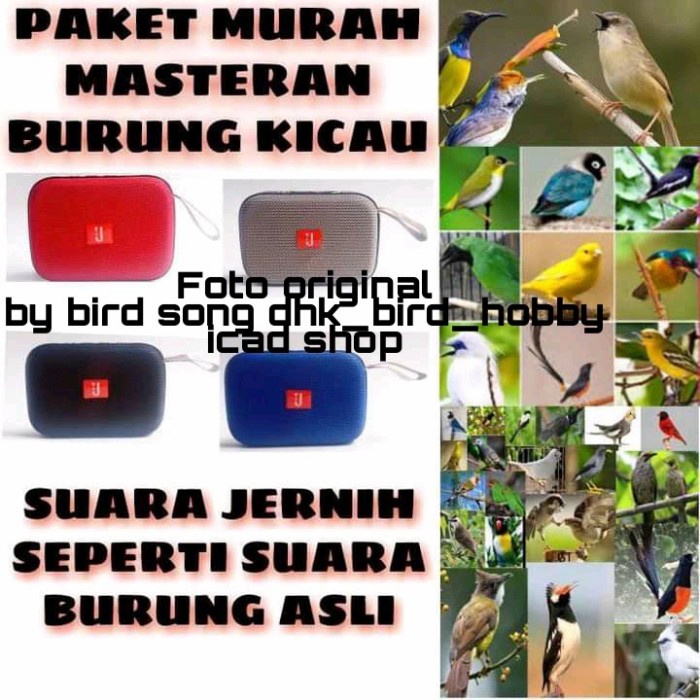 ELEKTRONIK AUDIO MASTERAN BURUNG KICAU SPEAKER AUDIO
