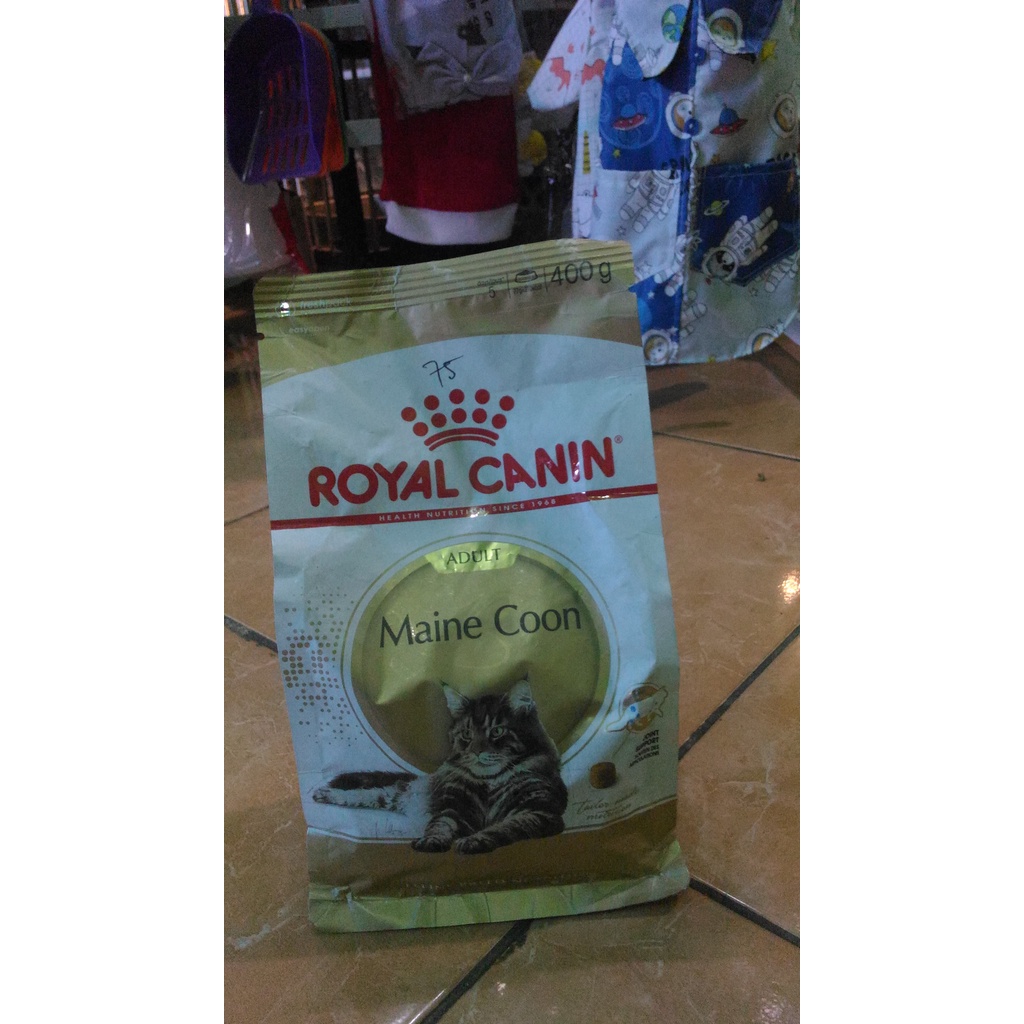 Royal canin maine coon adult