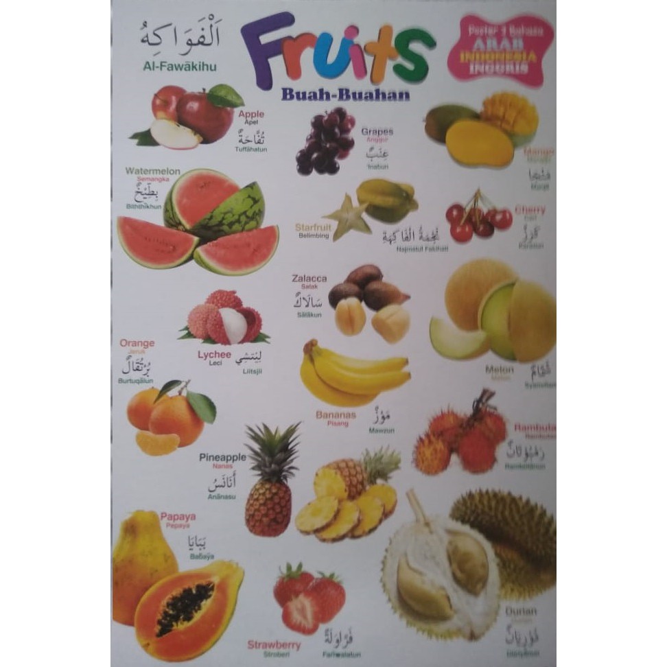 Murah Poster Edukasi Belajar Mengenal Buah Buahan Dalam 3 Bahasa Arab Inggris Indonesia Paud Tk Shopee Indonesia