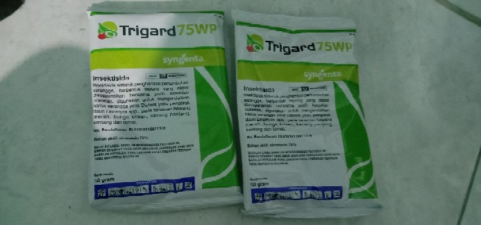 Insektisida Trigard 75 Wp Kemasan 50 Gr