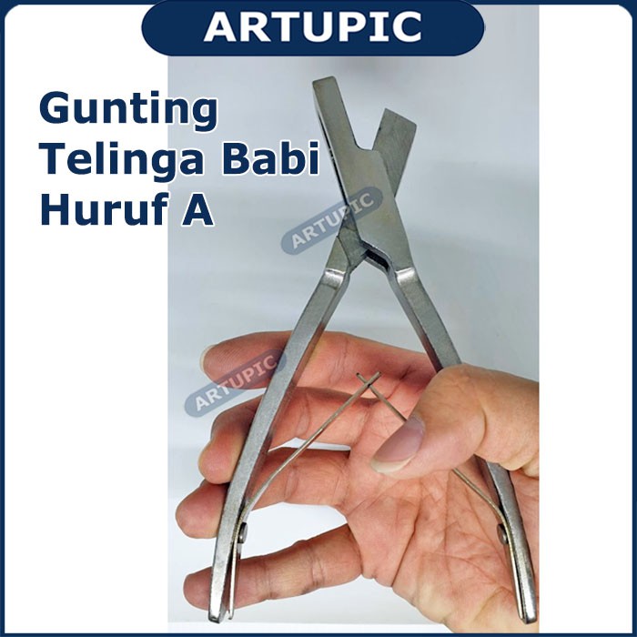 Gunting Telinga Babi Huruf A Alat Potong Kuping Babi Pig Ear Scissors Artupic