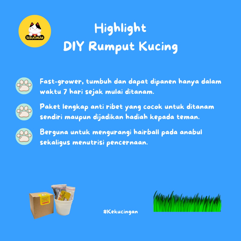 DIY CUP RUMPUT KUCING Paket Tanam Rumput Gandum Paper Cup 12 oz