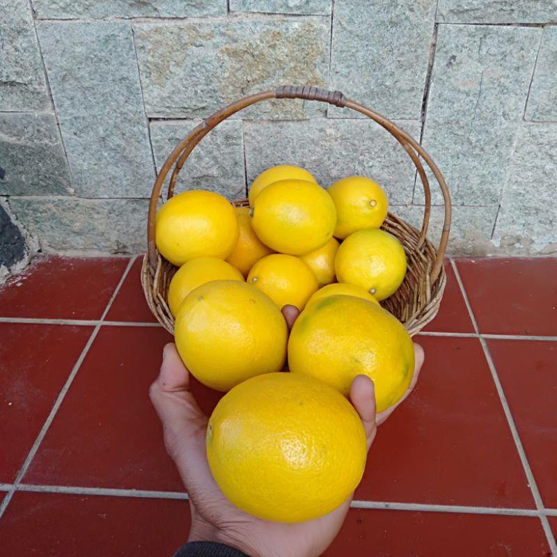 

Lemon California Premium 1kg