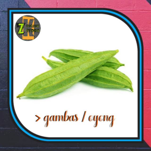 

Oyong / gambas (500gr)