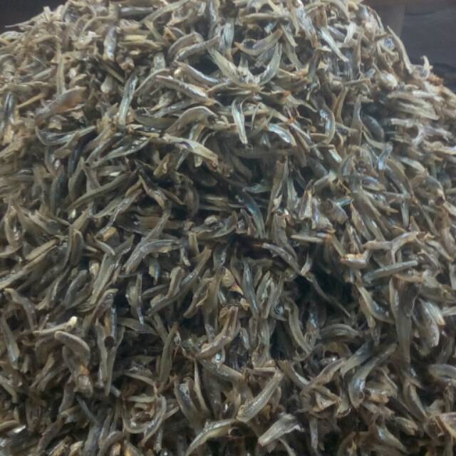 

Teri belah medan