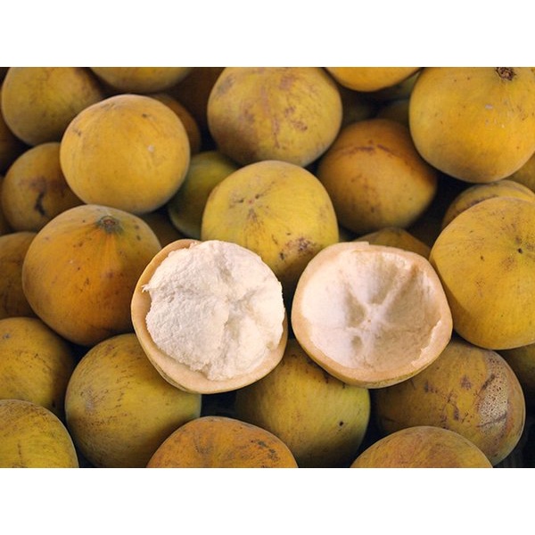 Buah Kecapi Daun Segar Manis Kecapi Lumut 1 Kg
