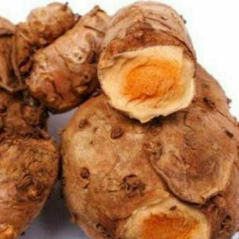 

Temulawak segar netto 100 Gram