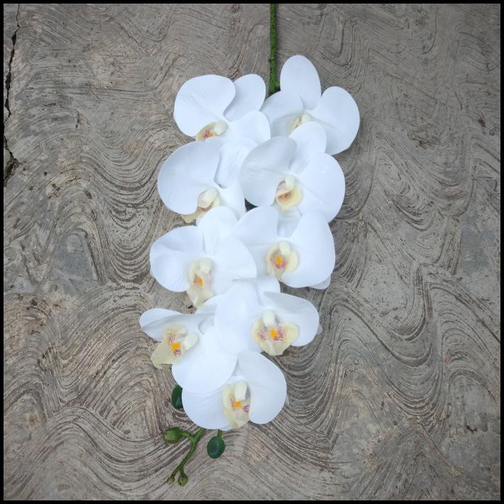 Bunga Anggrek Latex Super Premium Import