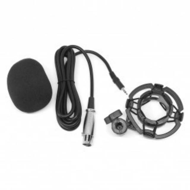 Mic BM-200 mikrofon Professional kondenser Microphone Studio Shock Proof Mount PC Laptop bm200 Yeti