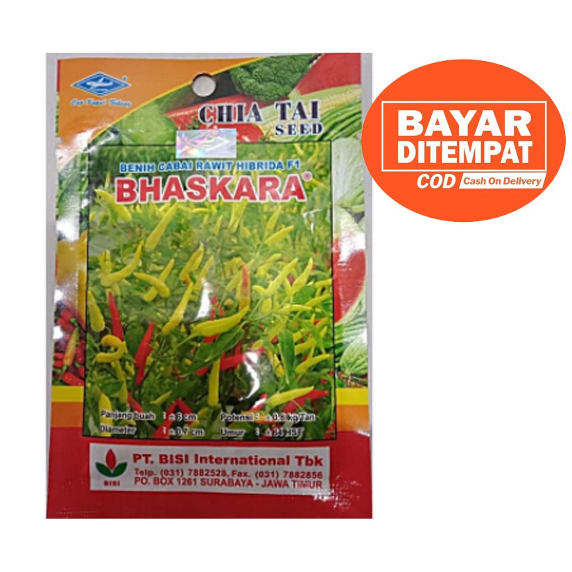 Bibit Cabe Rawit Hibrida F1 BHASKARA - Benih Cabai Rawit Hibrida F1 BH