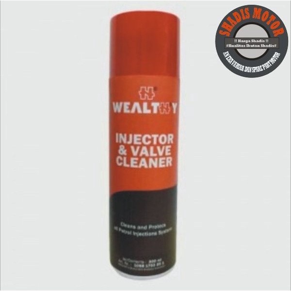 Wealthy Injector and Valves Cleaner 300 ml Original