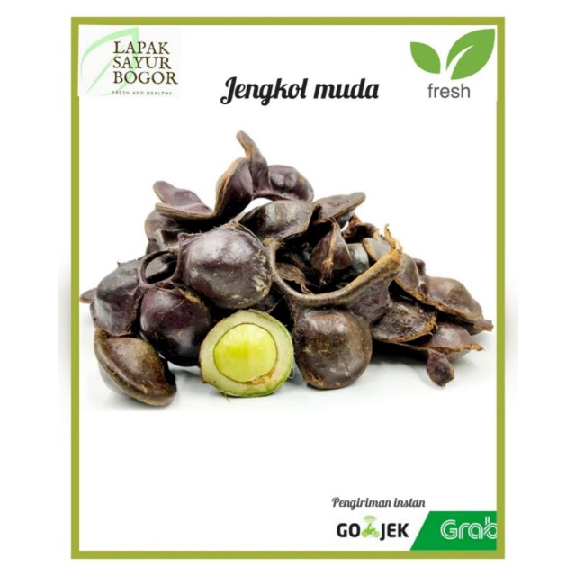 

jengkol muda jengkol segar lalap