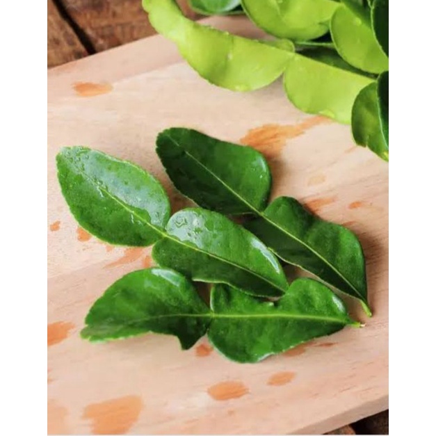 

Daun Jeruk murah 3rb