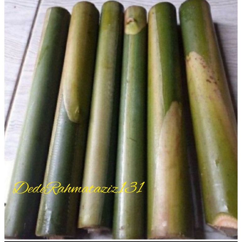 

Batang kecombrang muda 1000gr