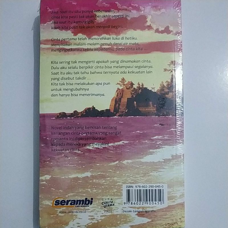 Novel Fiksi Romantis 