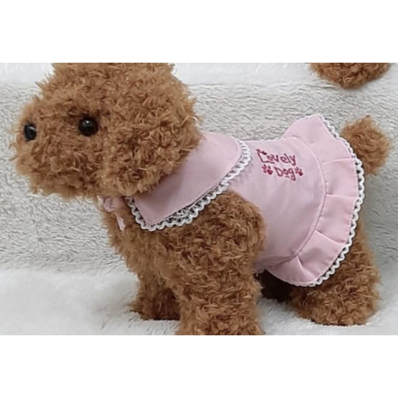 Boneka Anjing Poodle Impor