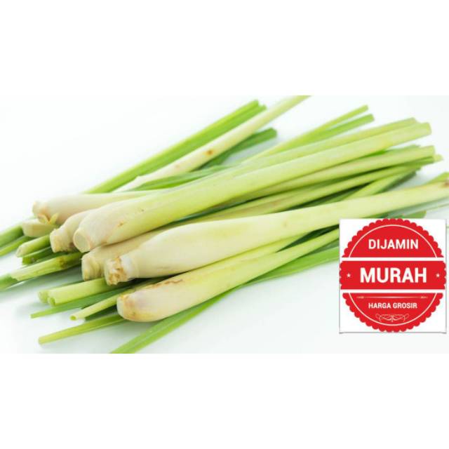 

Sereh Segar Organik 1 kg