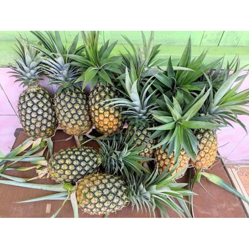 

Nenas Madu Segar (Ukuran Besar)